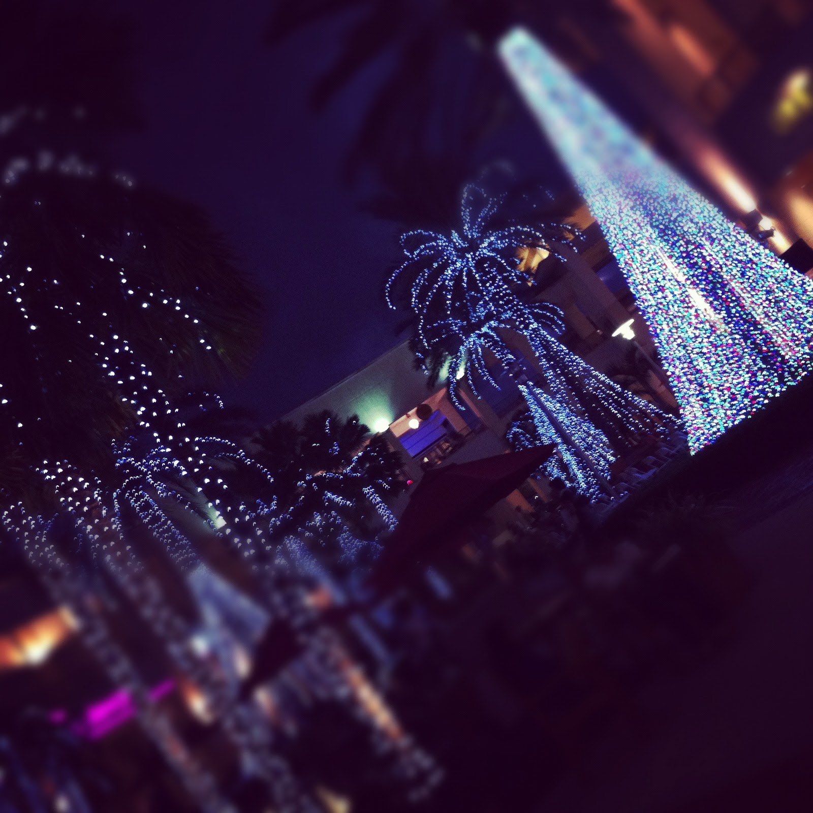 Palm tree Christmas | Palm trees
