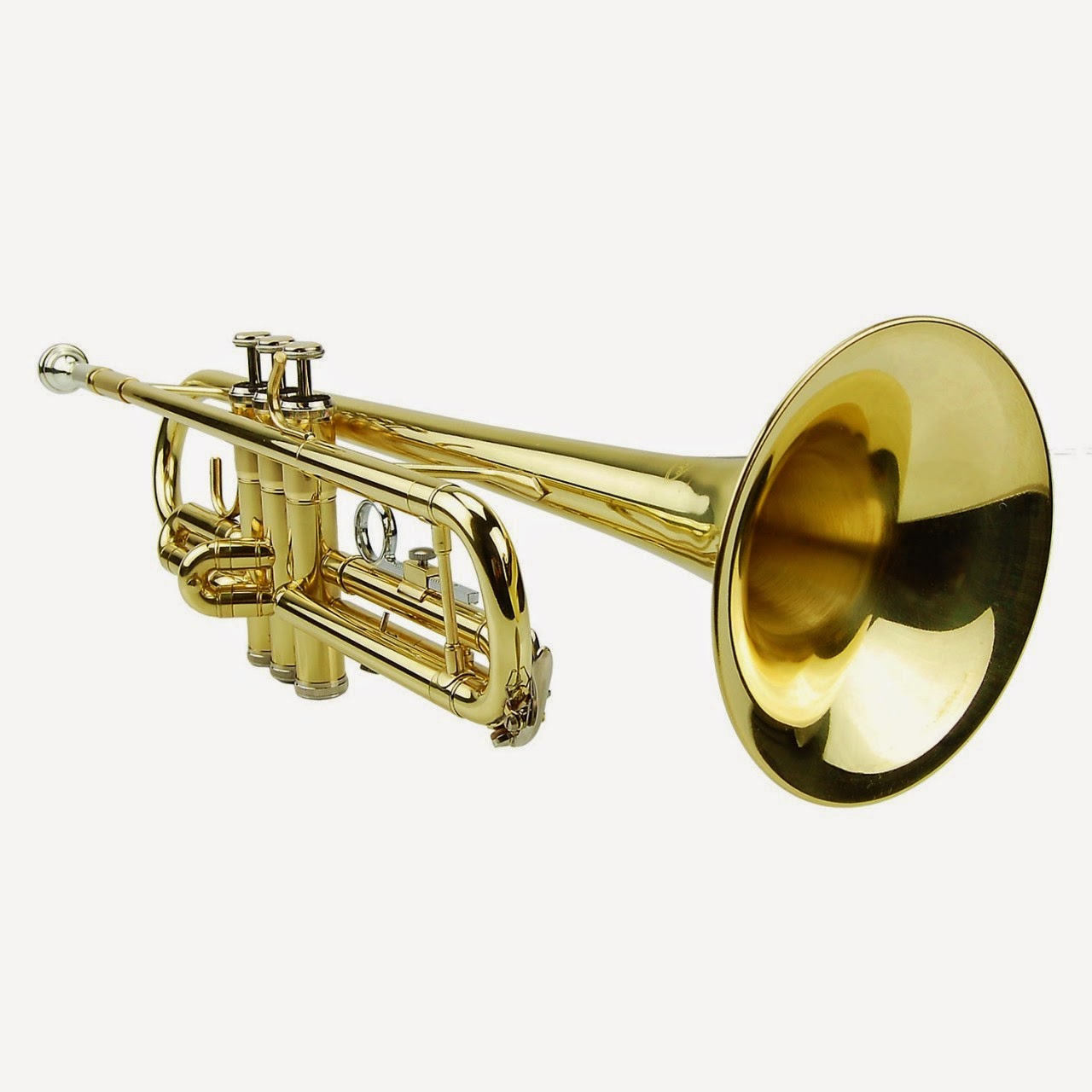 Bible with Questions and Answers August 2014