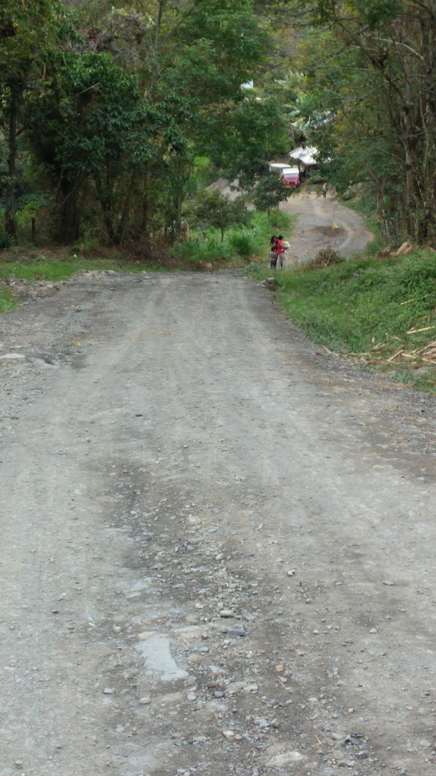 BAJANDO HACIA LA VEREDA ALGODONAL