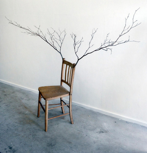 Gypsymade Branch Chairs