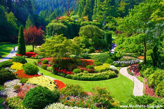 أجمل الحدائق في العالم