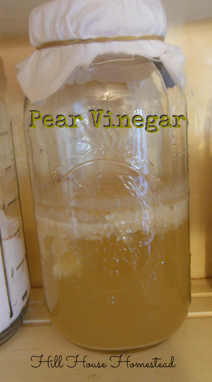 Hill House Homestead Long Time No See & Pear Vinegar