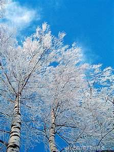 rencontres chamaniques blogspot