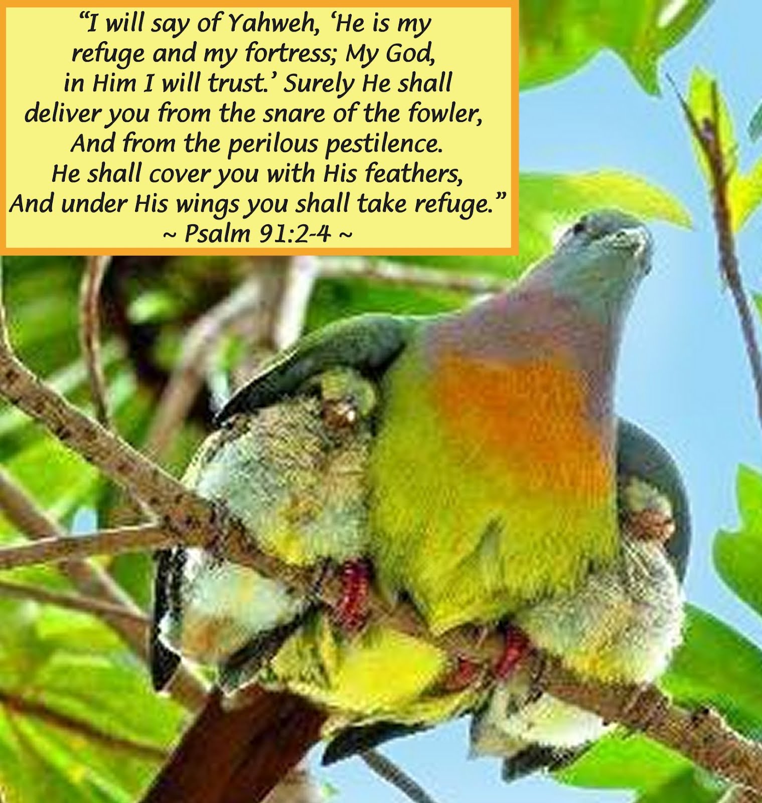 Pillar of Enoch Ministry Blog