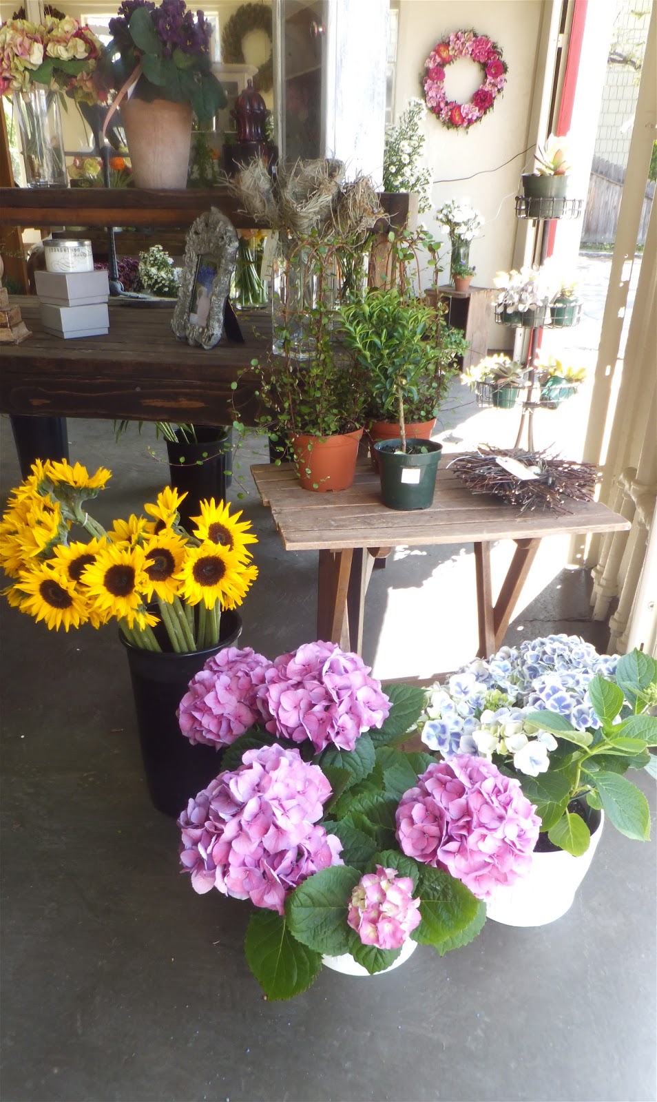 Ash Tree Cottage A New Flower Studio Blooming in Town