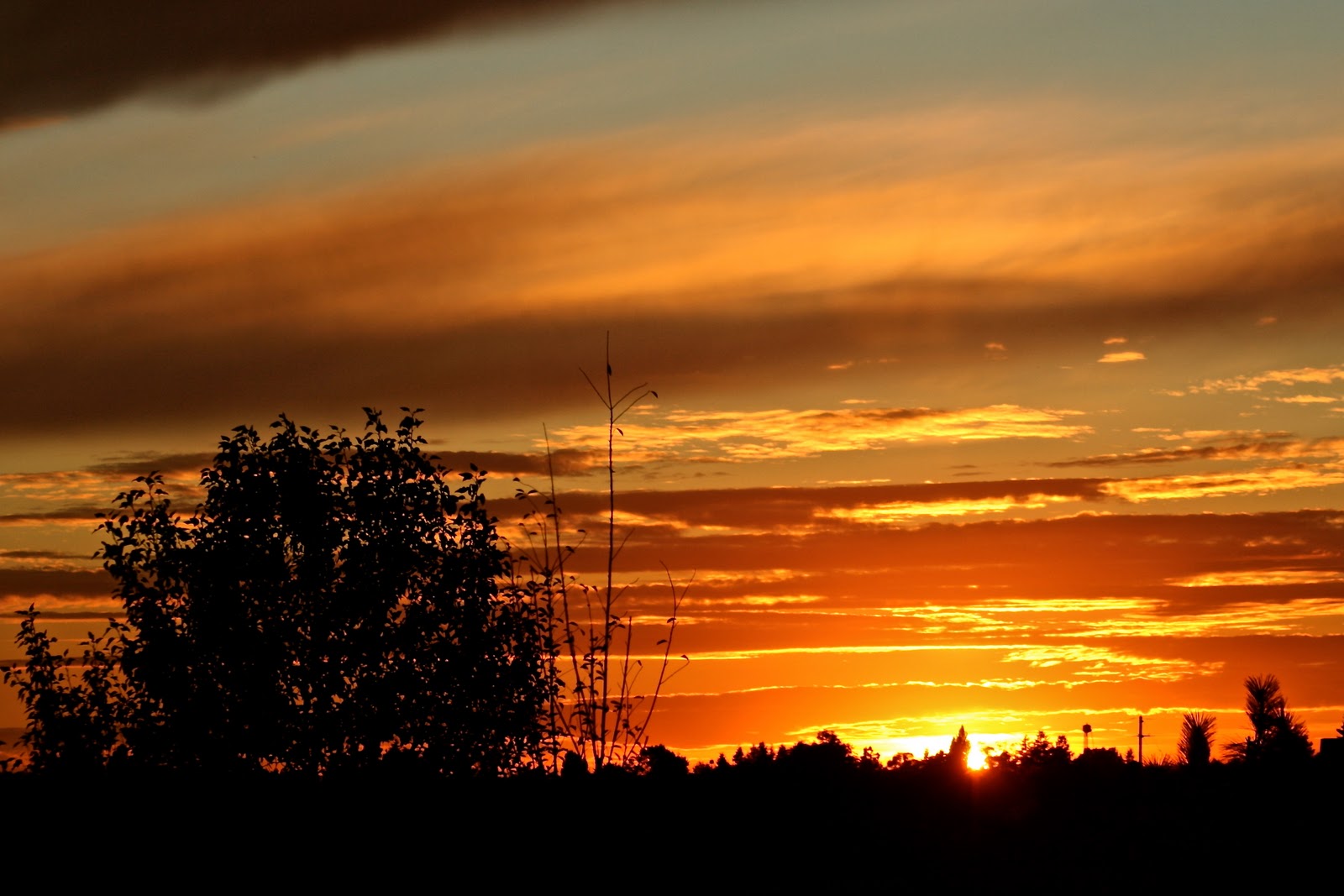 Live, Love, Laugh, Hope: Sunset