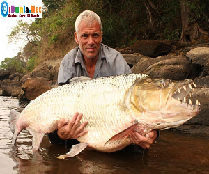 Ikan teraneh didunia Ikan teraneh didunia