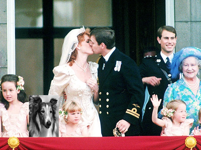 over Wide Open West for a