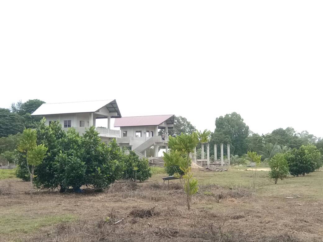 KEBUN MABIQ