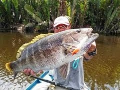 Borneo Black Bass