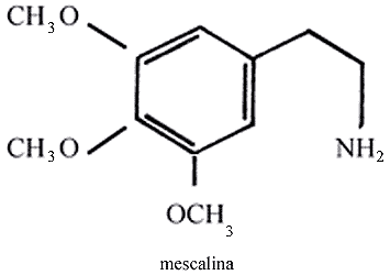 Betsabea Sbrocca MESCALINA