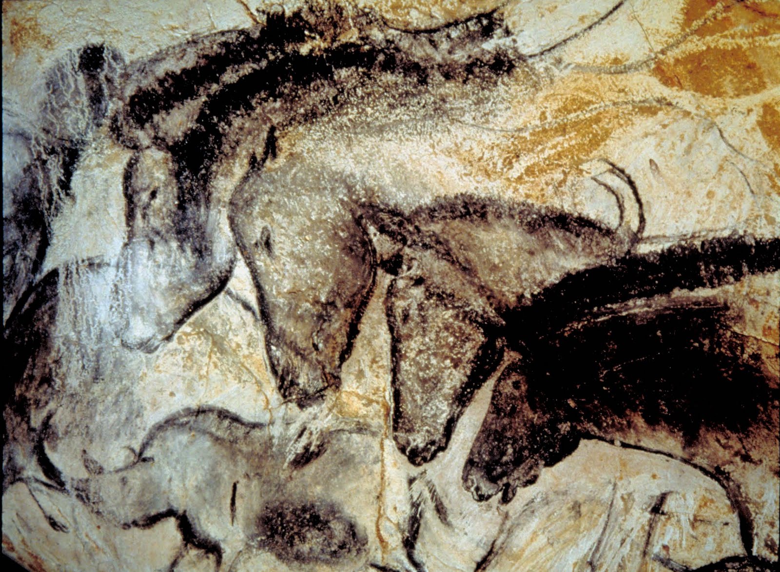 White Wolf DNA Evidence proves Paleolithic horse cave art was realistic