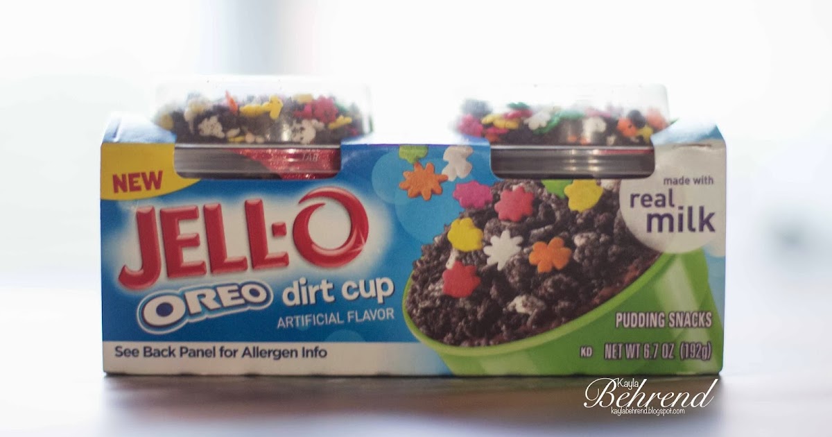 The Behrend's Pudding Dirt Cups