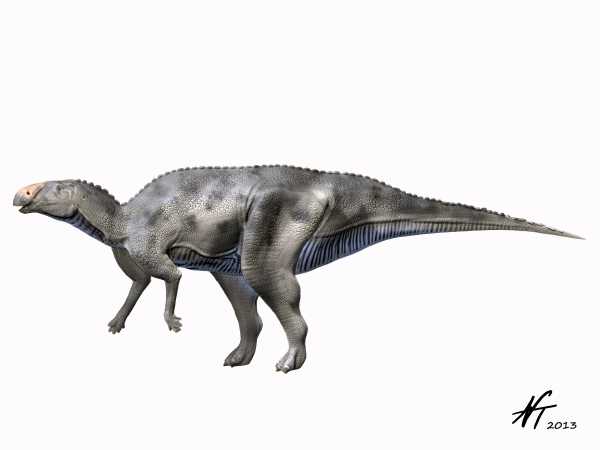 Hadrosaurus minor Hadrosaurus2+NT