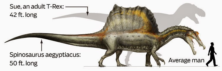 spinosaurus-bigger-than-a-trex-20140911.jpg