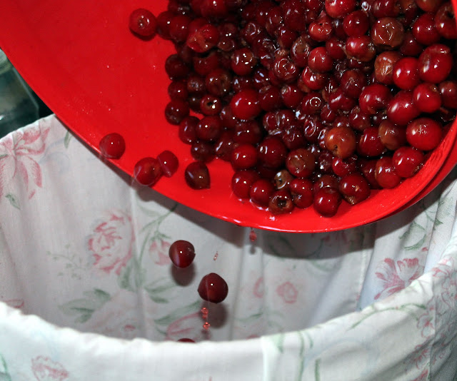 Man That Stuff Is Good! Homemade Cherry Wine