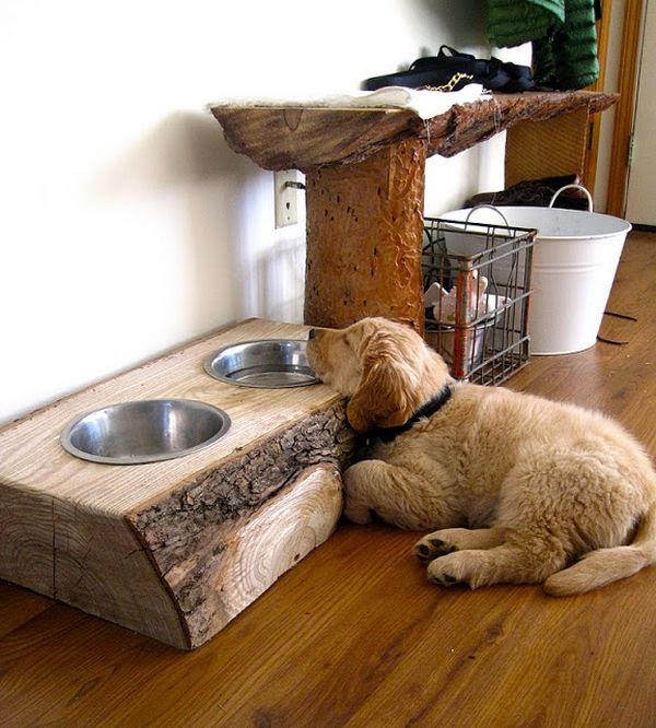 Do It Yourself Ideas And Projects 10 Creative Diy Dog Bowl Ideas