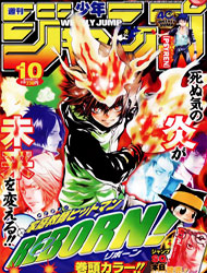 869799393katekyo hitman reborn