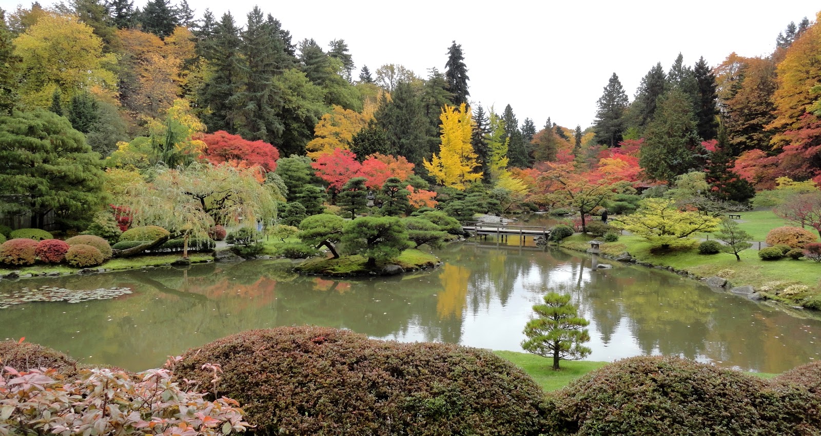danger garden The Seattle Japanese Garden