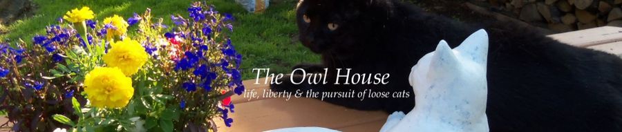 The Owl House