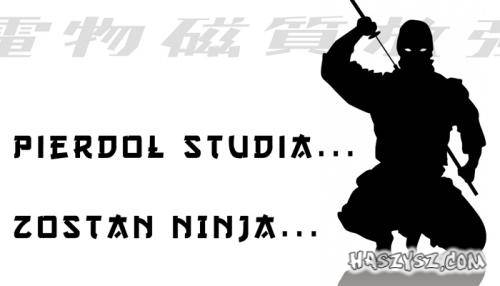 pierdol-studia-zostan-ninja-xkaktusx.jpg