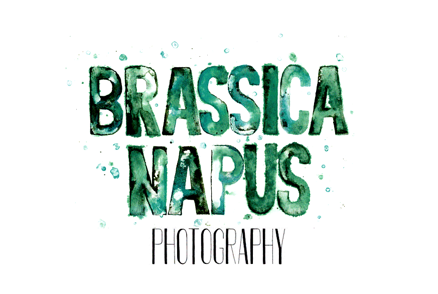 Brassica Napus