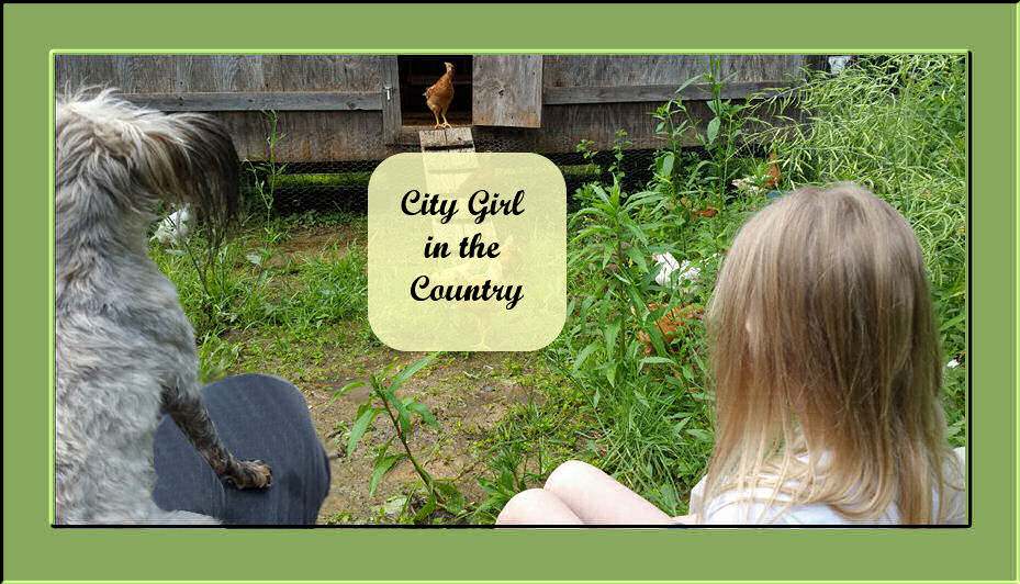            City Girl in the Country