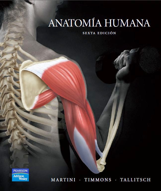 Anatomia Umana Martini Timmons Download27