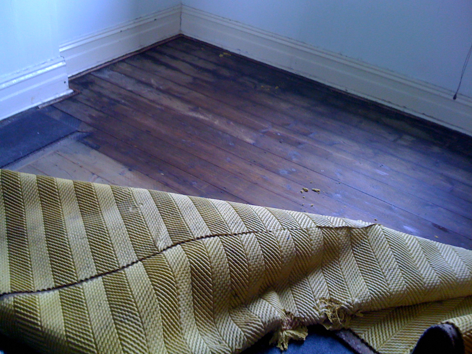 WATER DAMAGED CARPETS MELBOURNE