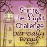 Shining The Light Challenge