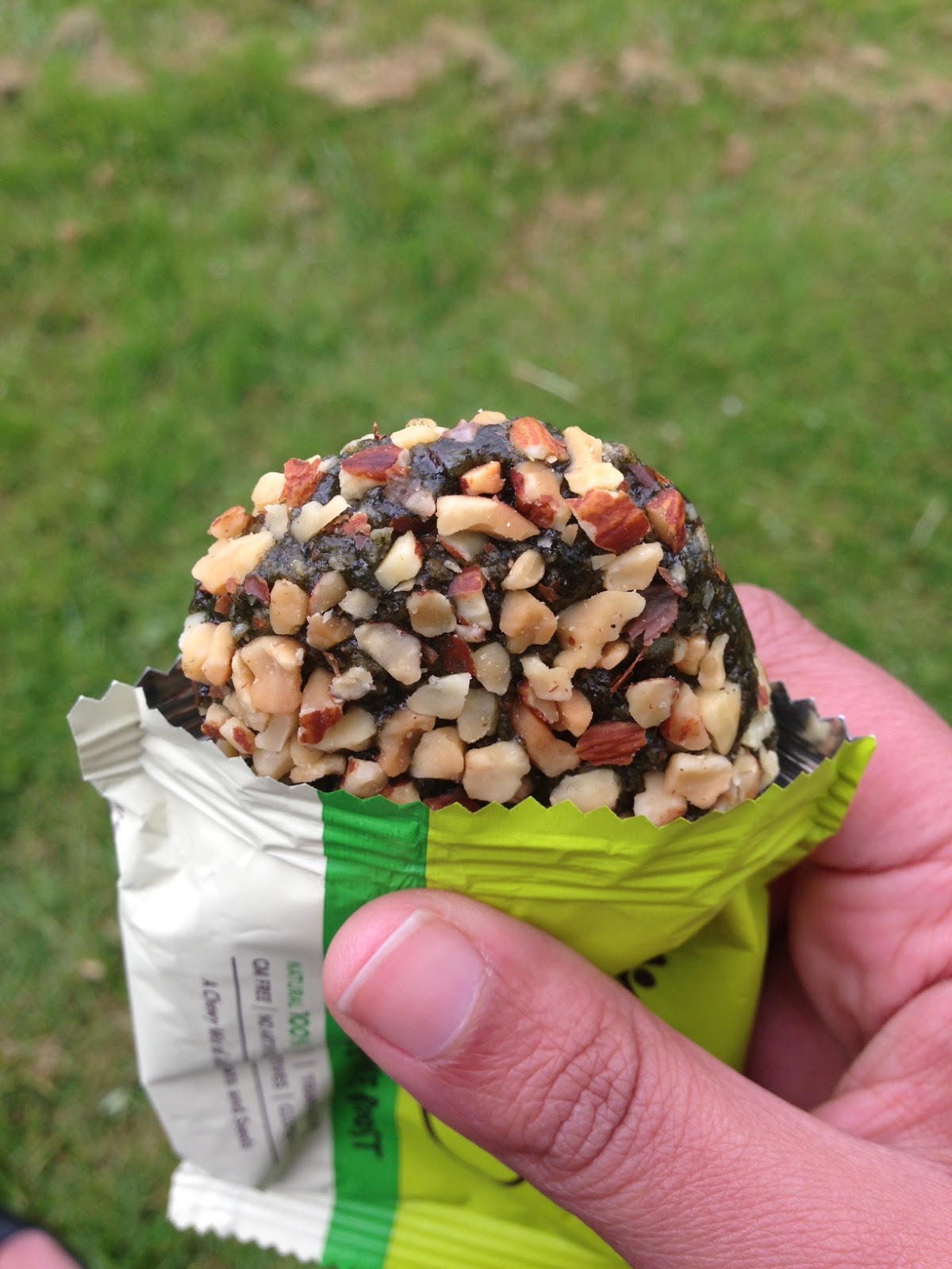 Lazy Giraffe Blog Healthy Snacking Bounce Balls