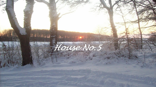 House No.5