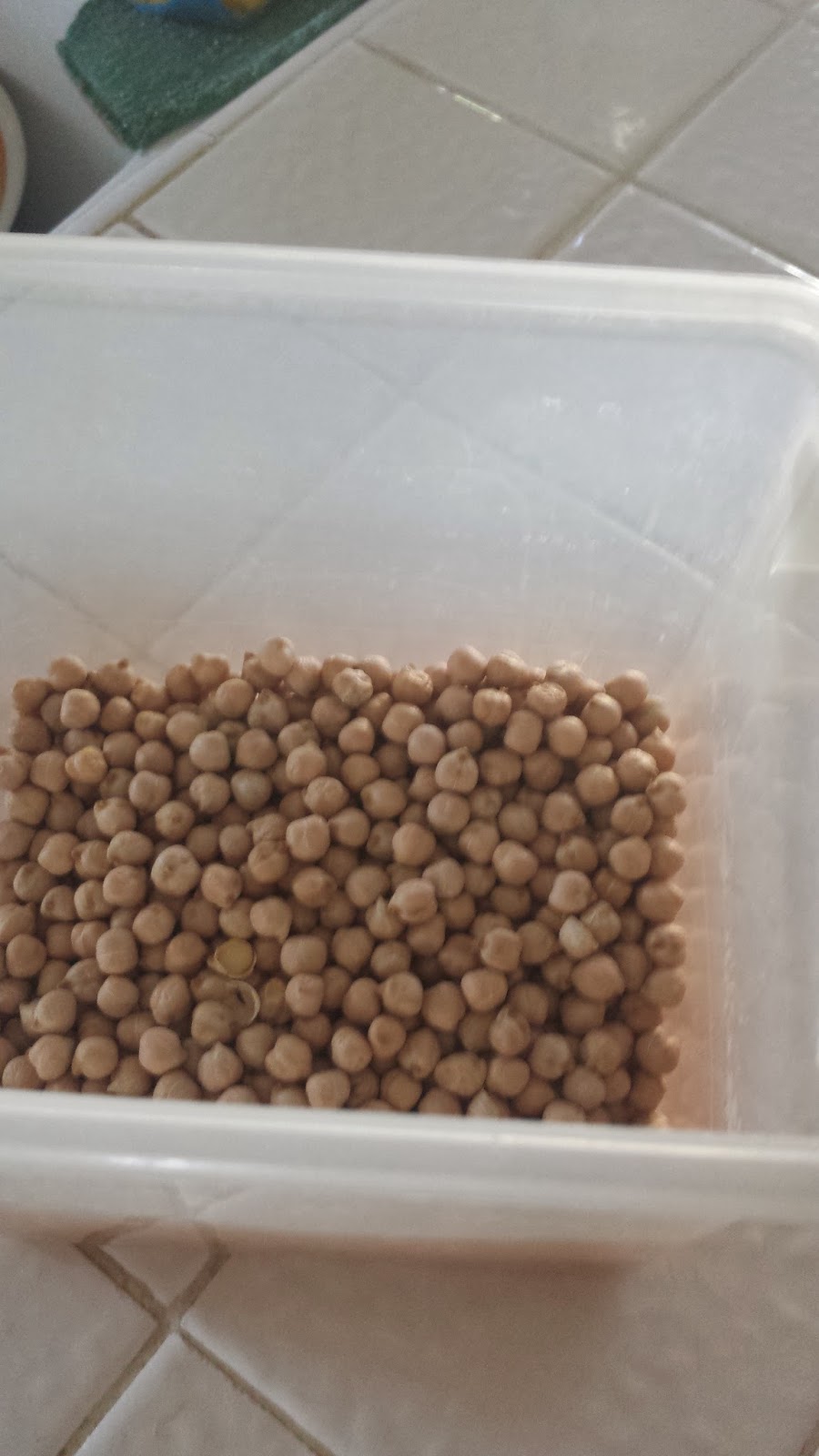 The Lone Soybean "Chicken" Chickpea Salad