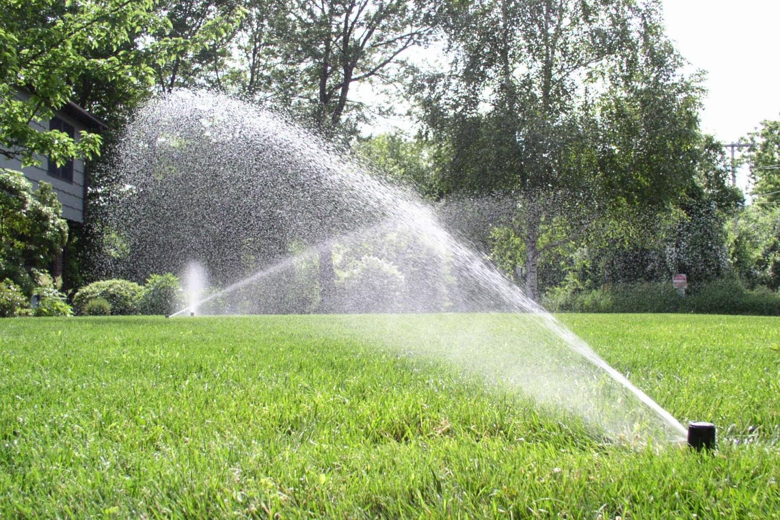 lawn Care Tips and Tricks Tips for Choosing an Irrigation Sprinkler System