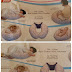 *** SEVİ BEBE ANNE VE BEBEK YASTIĞI NE İŞE YARAR ***