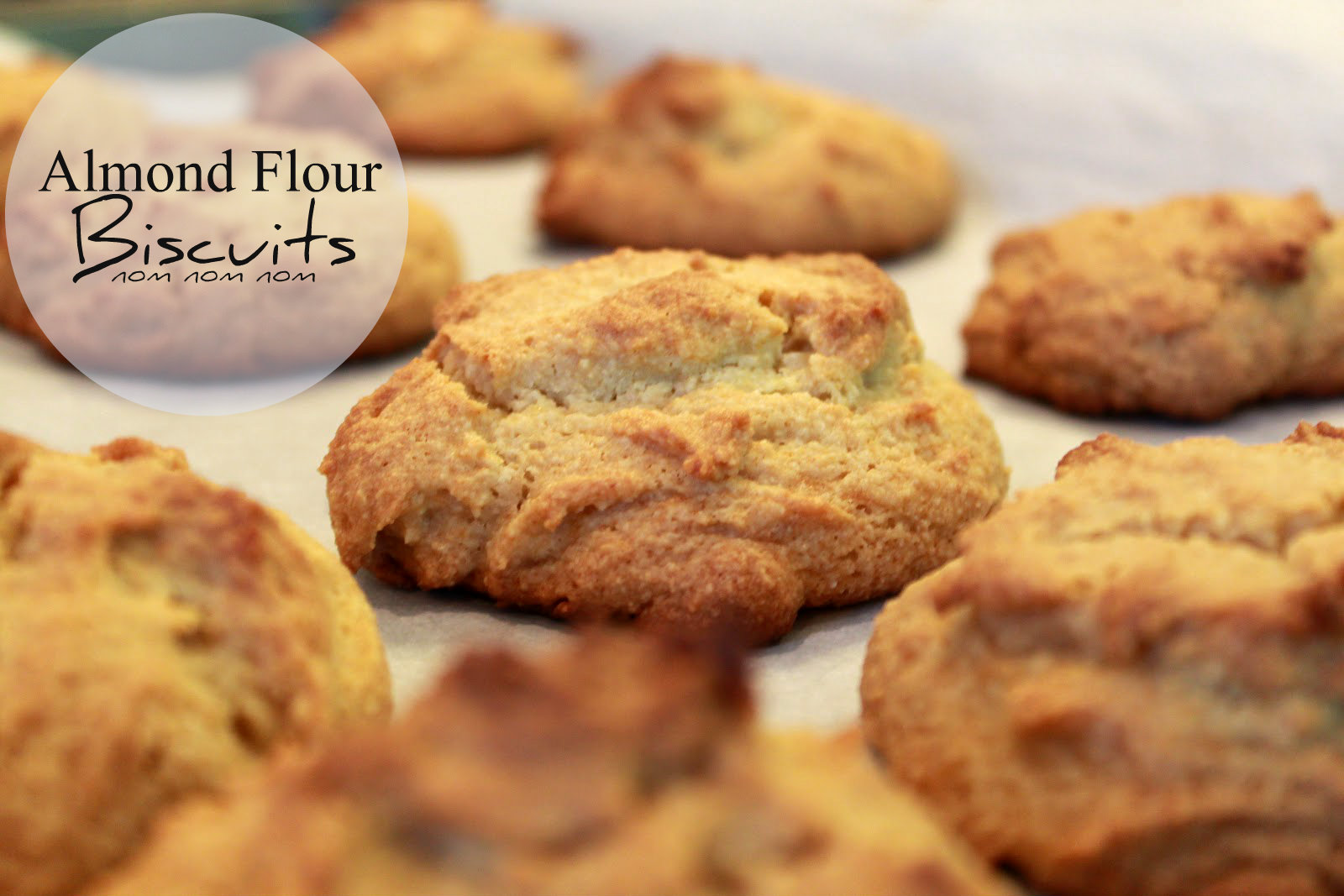 Taking Notes...Coast to Coast Almond Flour Biscuits (glutenfree