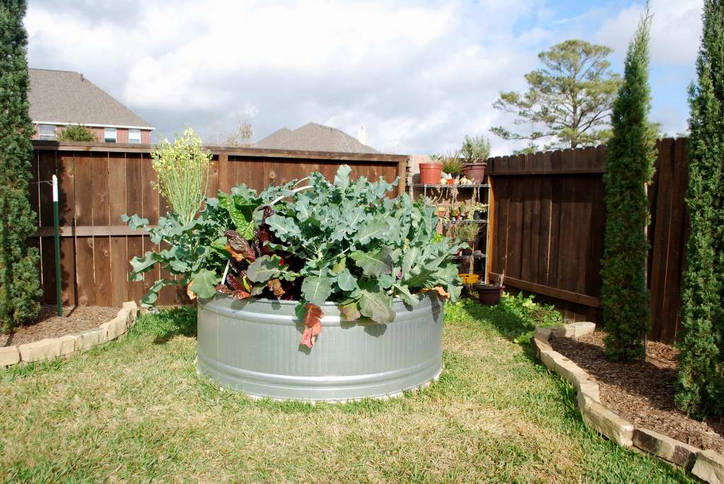 C a y l a w r a l: Cinder block garden design