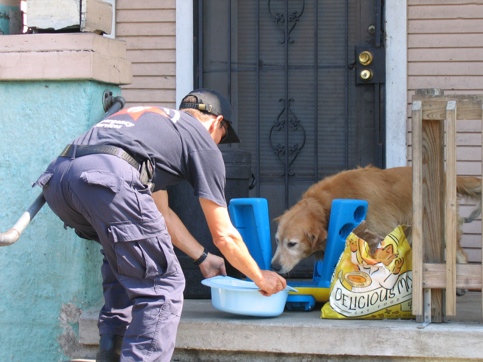 Bunny's Blog Animal responders train for next big storm on anniversary