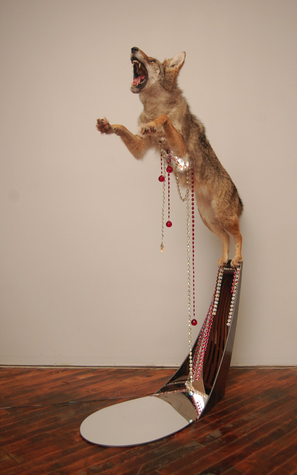 Diamond Tooth Taxidermy