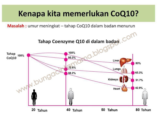 Vitamin-Untuk-Jantung