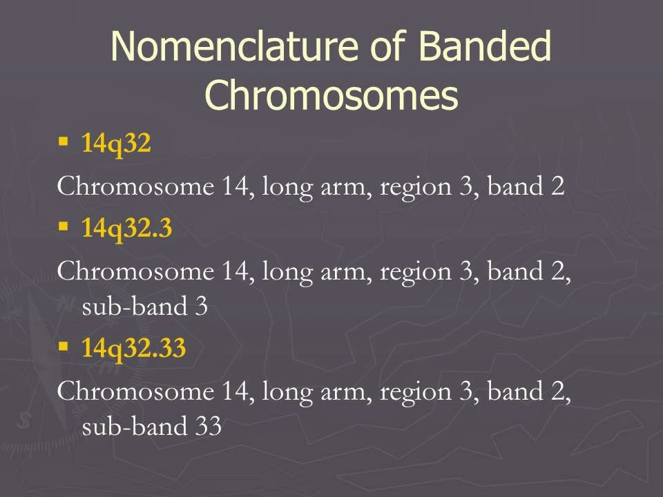 Slide 68