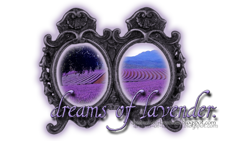 dreams of lavender.