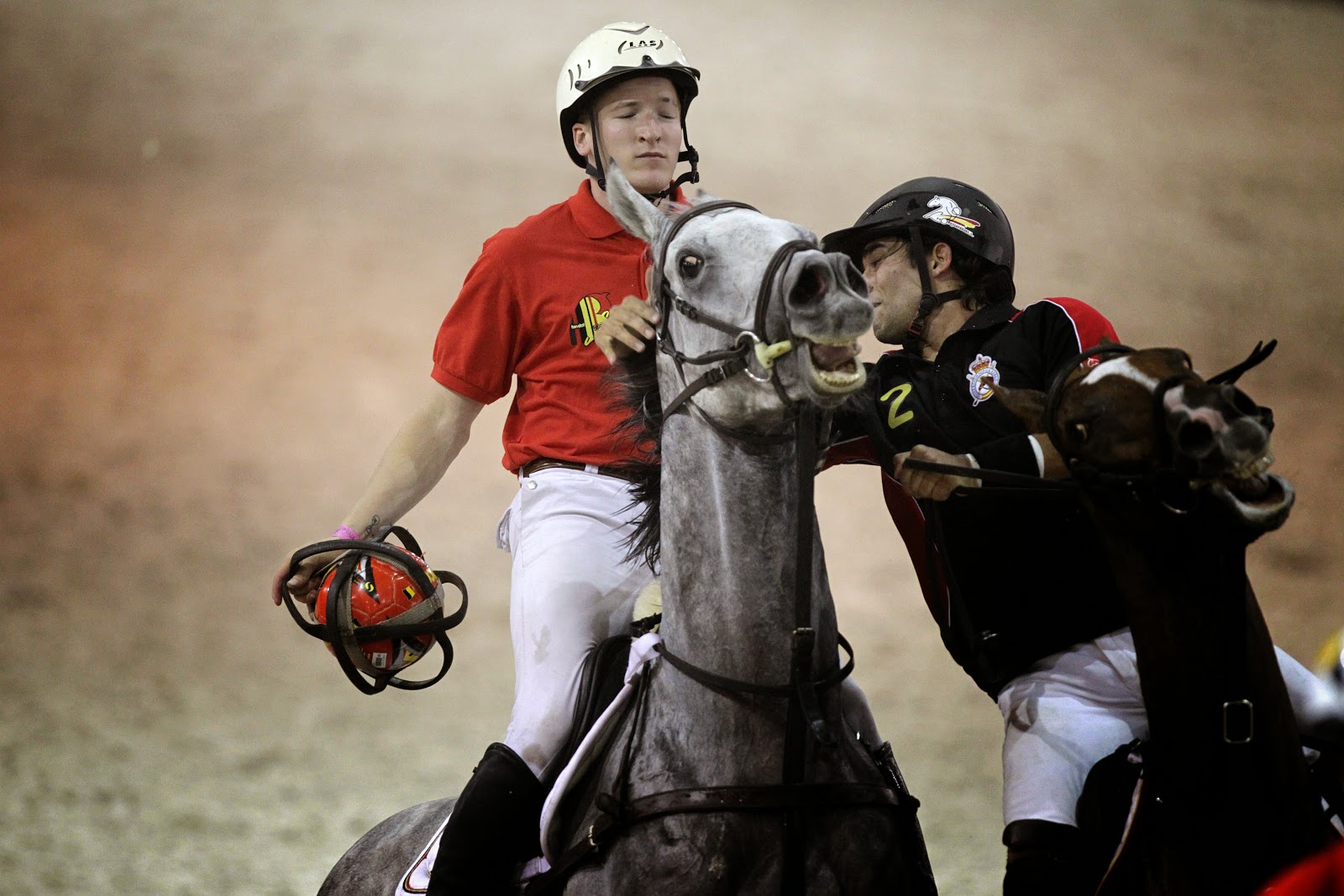 HorseBall game during FEI World Equestrian Games HD Photos
