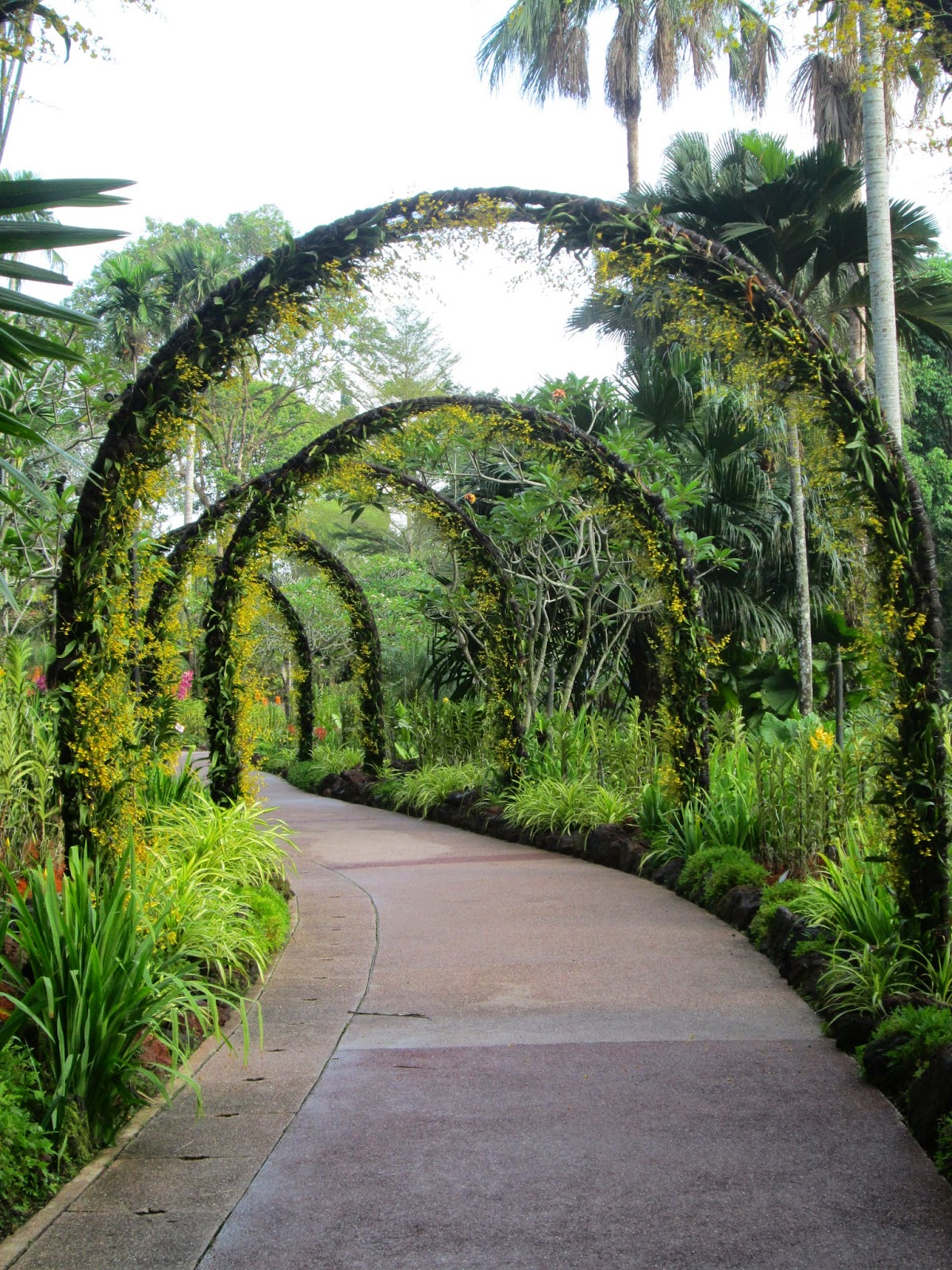 Singapore Botanical Garden, Orchard Garden