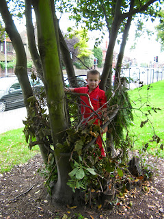 milton park kids den in tree