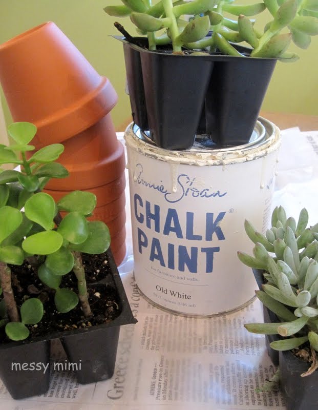 messy mimi Old Pink Shutter and Chalk Paint Clay Pots Succulents too!