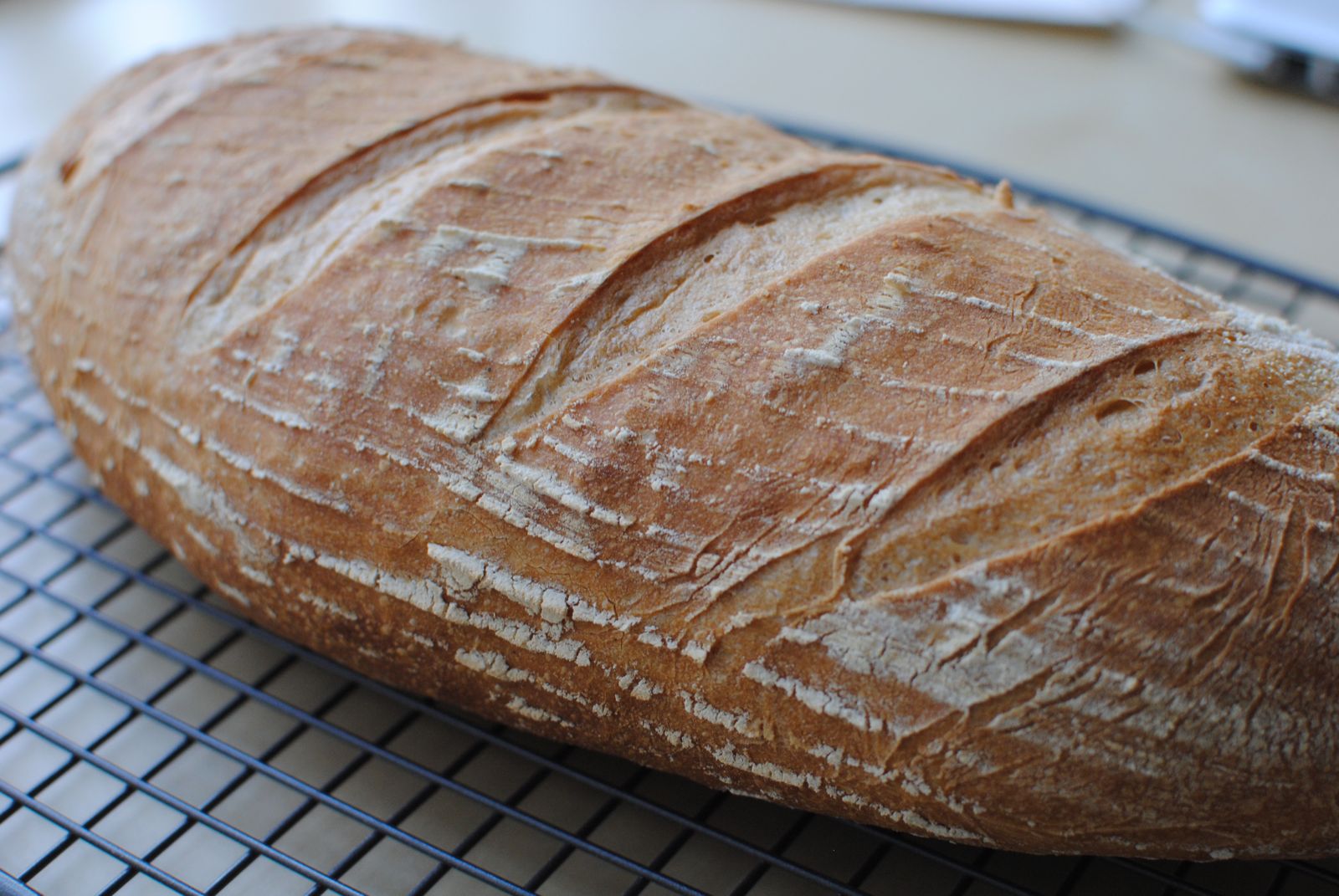 Richard Elliot's Blog Sourdough Barm Bread
