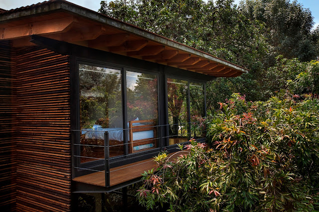 สร้างบ้าน Modern Tropical สวนสวยๆ
