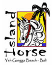 Island Horse Riding Logo