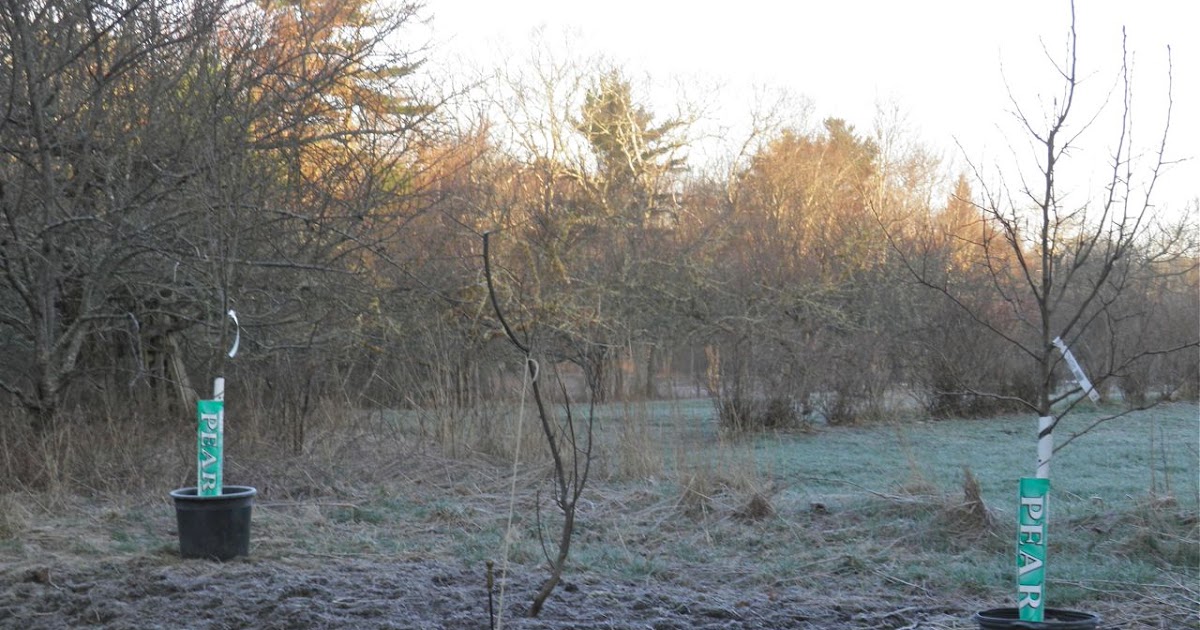 Docaitta Lifestyle The Garden Centres are OPEN!